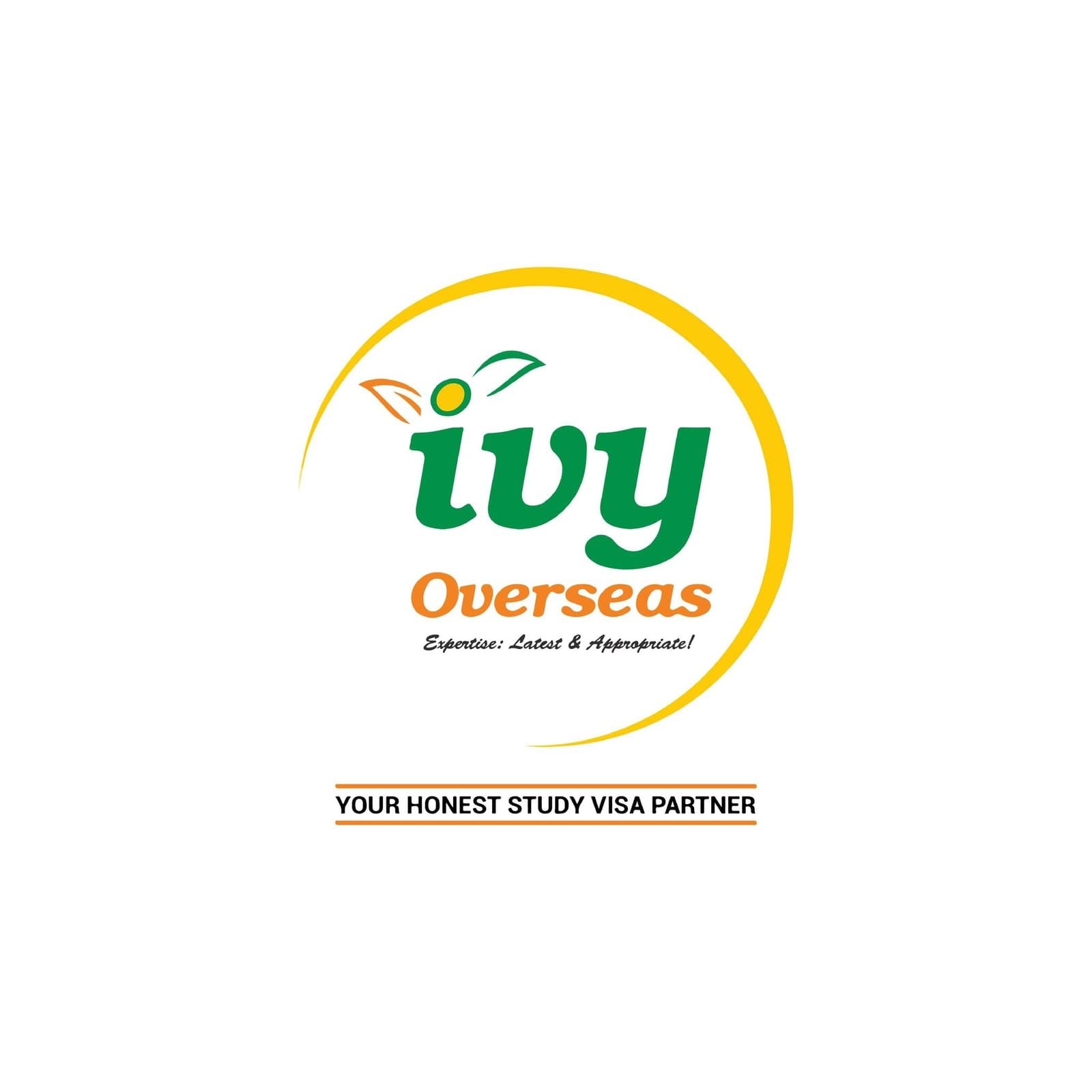 ivy overseas